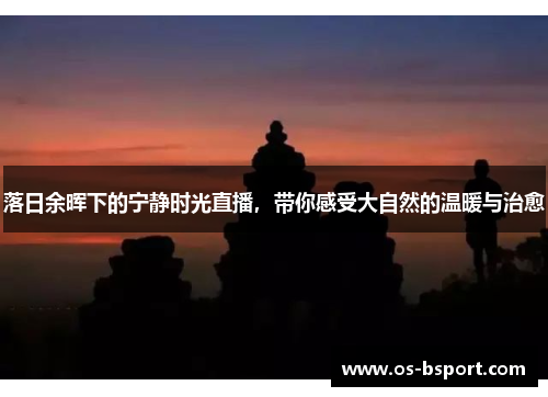 落日余晖下的宁静时光直播，带你感受大自然的温暖与治愈
